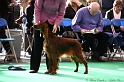 Crufts2011 111